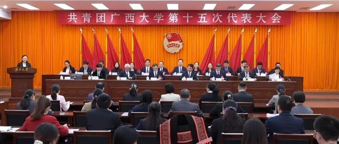 共青团44118太阳成tyc城集团第十五次代表大会召开